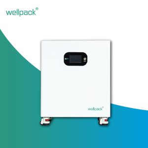 Household Energy Storage Battery WPH10F-01