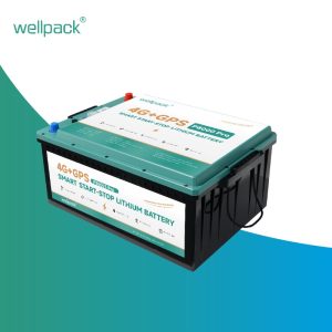 What Affects the Lifespan of a Start-Stop Battery?