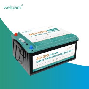 Why Can’t I Use a Regular Battery in My S...