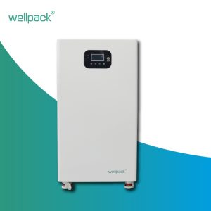 All-in-one Energy Storage SystemWPH10I-02