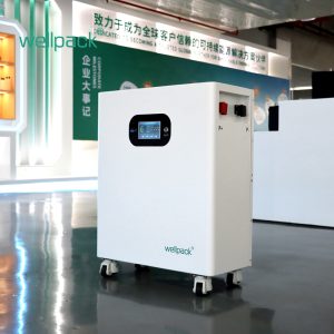 How To Pick The Right Energy Storage System